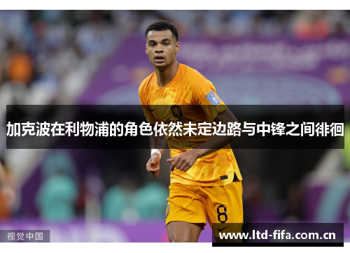 加克波在利物浦的角色依然未定边路与中锋之间徘徊
